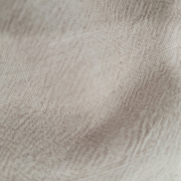 NWOT Free People  Beige Wide Leg High Rise Pleat Trousers Pants Size 10 - Picture 9 of 12